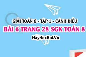 Giải bài 6 trang 28 Toán 8 Tập 1 SGK Cánh Diều